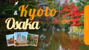 Kyoto Osaka Travel Guide