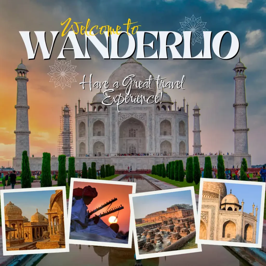 about wanderlio