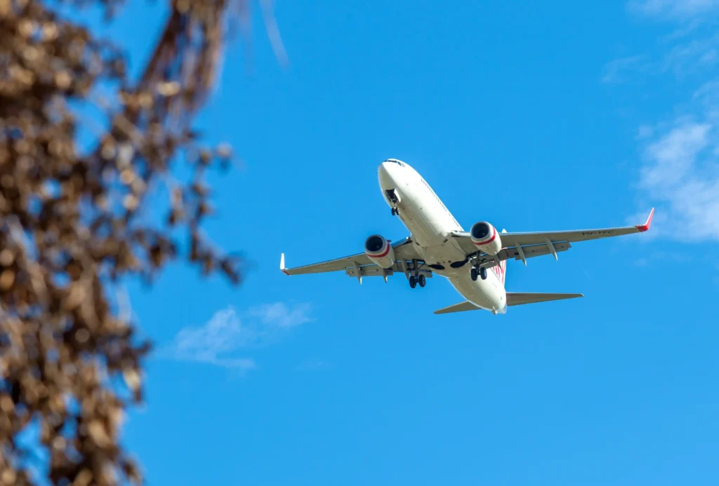 cheap flight